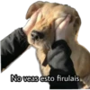 No veas esto firulais