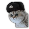 Gatitos y algo más 11