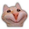 Gatitos y algo más 12