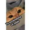 Stickers Variados 19
