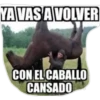 YA VAS A VOLVER
CON EL CABALLO
CANSADO