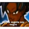 Ayuda vegeta soy
negro