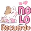 ✨🐱Latte, Miau🐱✨ 13