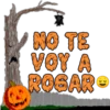 NO TE VOY A ROGAR 3)
