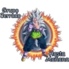 goku 13