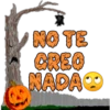 NO TE CREO NADA