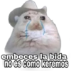 embeces
la bida
no es como keremos