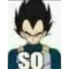 SO