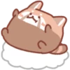 Fluffy Red Panda 14