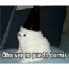 shitpost 19
