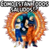 goku 15