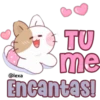 ✨🐱Latte, Miau🐱✨ 16