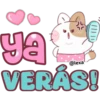 ✨🐱Latte, Miau🐱✨ 18