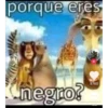 porque eres
negro?
8760
405