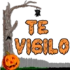 TE VISILO