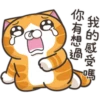 白爛貓27超開心P.1 11