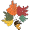 Otoño 1 22