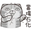 白爛貓27超開心P.1 13