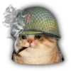 Gatitos y algo más 22