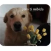 shitpost 23