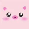 Funny Face 2 24