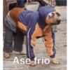 shitpost 24