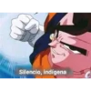 Silencio, indígena