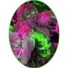 Animes - 39 Im.N 1712 27