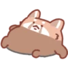 Fluffy Red Panda 23