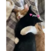 Markiplier + some normal reaction img 26