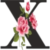 🌼💐Abecedario Floral🌷🌺 26