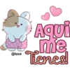 ✨🐱Latte, Miau🐱✨ 28