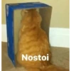 shitpost 28