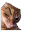 Gatitos y algo más 30