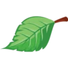 Otoño 1 29