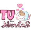 ✨🐱Latte, Miau🐱✨ 30