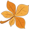 Otoño 1 30