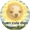XD pero sin gracia 5