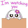 I'm watching
you