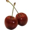 k.immelan 7