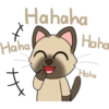 Hahaha
Haha
нх
Haha
Haha