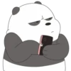 We Bare Bears 13