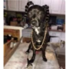 Snoop Dog 15