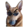 perros 2022 14