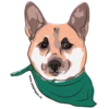Adopt 7