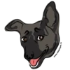 Adopt 8