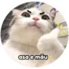asoemâm