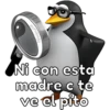 Moniq
Ni con esta
madre c te
ve el pito