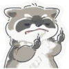 Toast the Raccoon 6