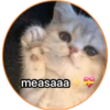 measaaa